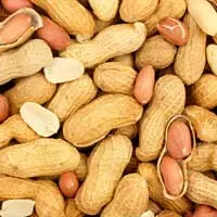 L-Arginine in NeuroQuiet for blood flow and hearing health